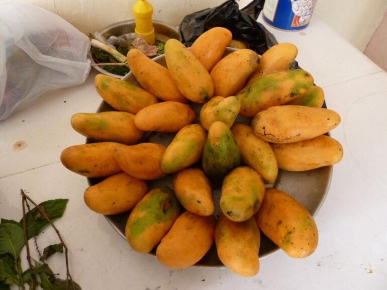Haiti Mangoes